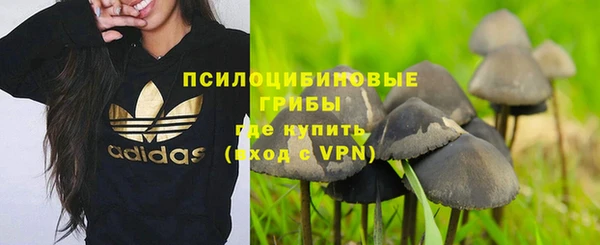 индика Белоозёрский