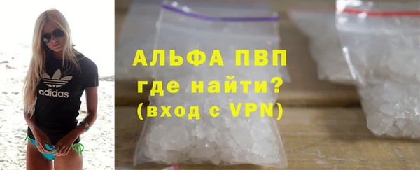 индика Белоозёрский