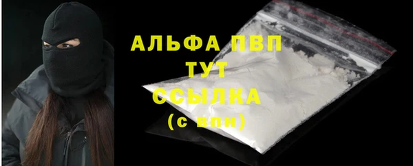 индика Белоозёрский