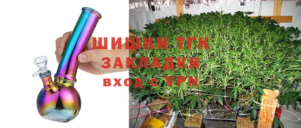СК Белокуриха