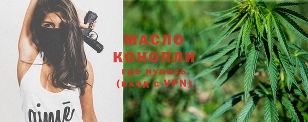 индика Белоозёрский